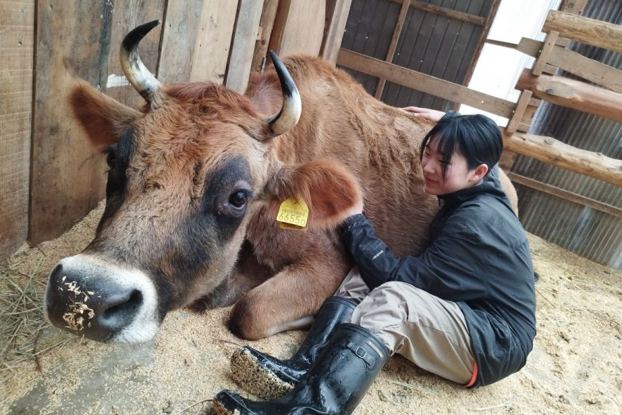 【春休み限定】親子にオススメ！森の中の小さな牧場　動物ふれあい体験