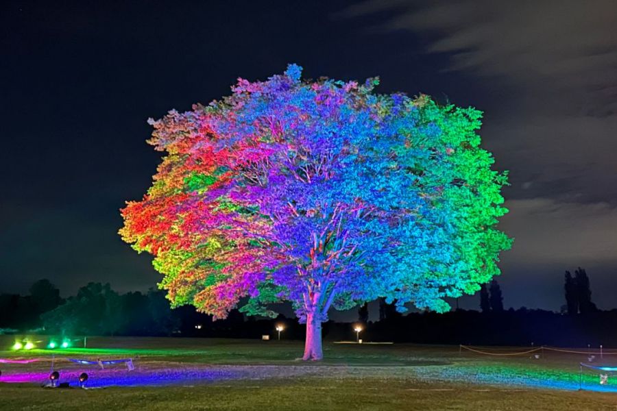 シンボルツリーは数秒おきに色が変化