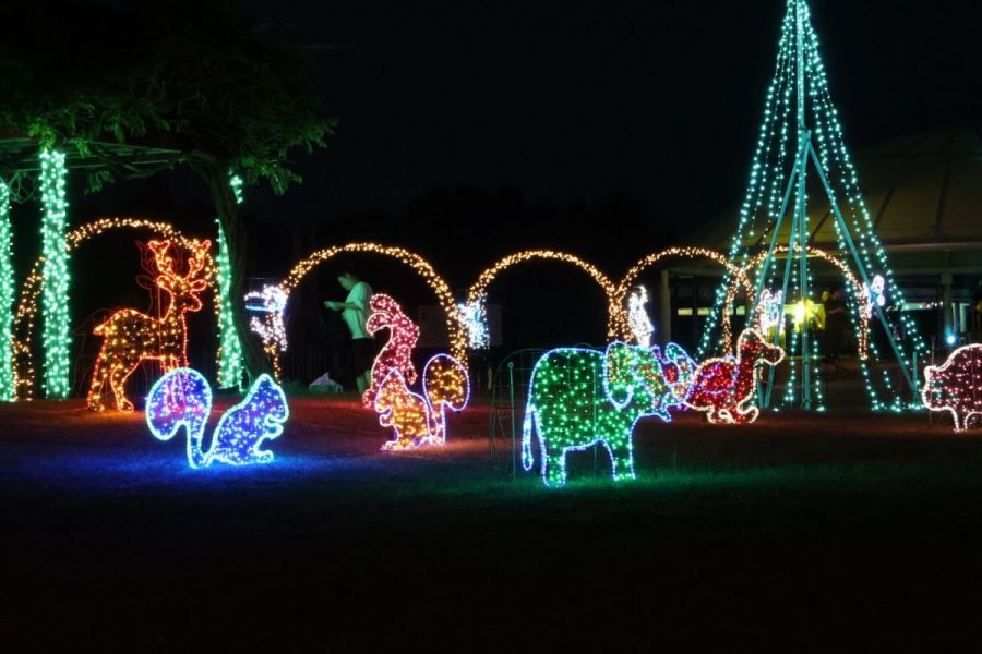 園内のイルミネーション