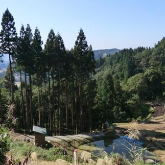 震央メモリアルパーク