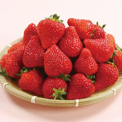 銀座「THE NIIGATA」発バスツアー 旬のブランドいちご「越後姫」と食材の宝庫 新潟美食旅