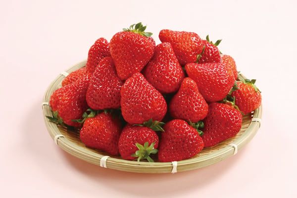 銀座「THE NIIGATA」発バスツアー 旬のブランドいちご「越後姫」と食材の宝庫 新潟美食旅