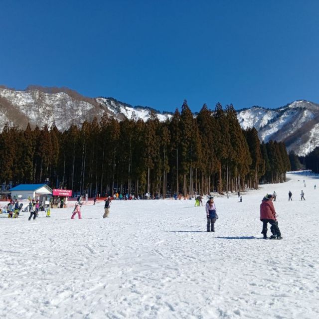 中里スノーウッドスキー場