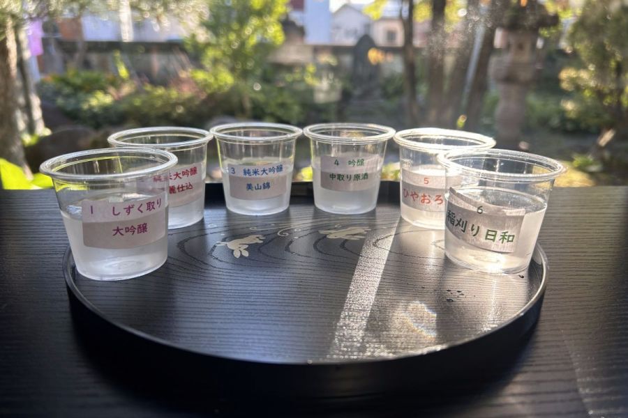 長谷川酒造『春の蔵開き』