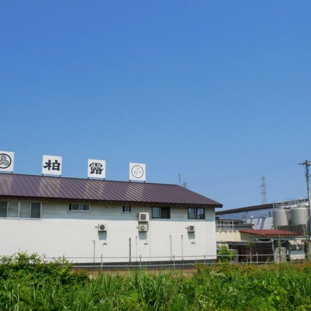 柏露酒造 蔵まつり 第3回「発酵フェス 2026」