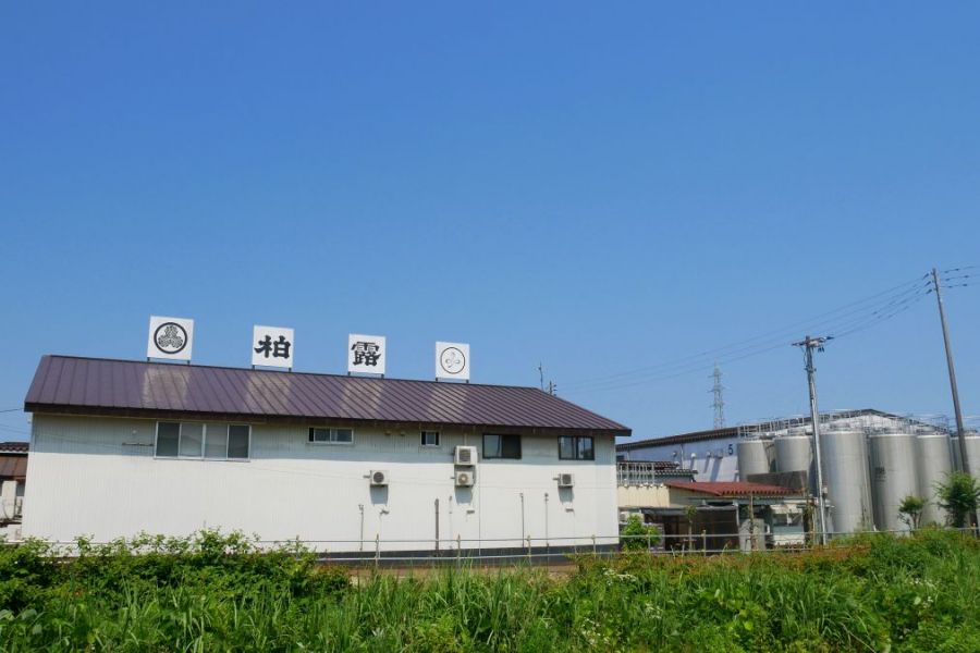 柏露酒造 蔵まつり 第3回「発酵フェス 2026」