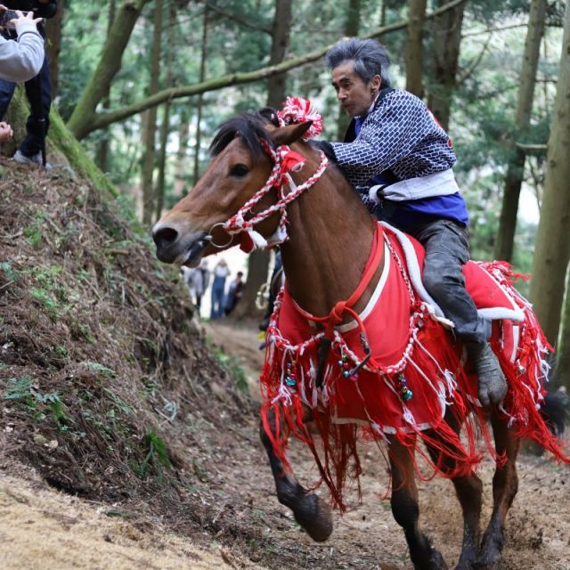 伝統の復活！シャングシャング馬