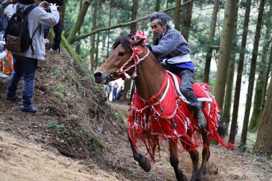 伝統の復活！シャングシャング馬