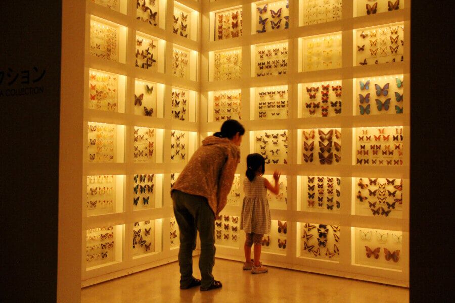 森の学校「キョロロ」