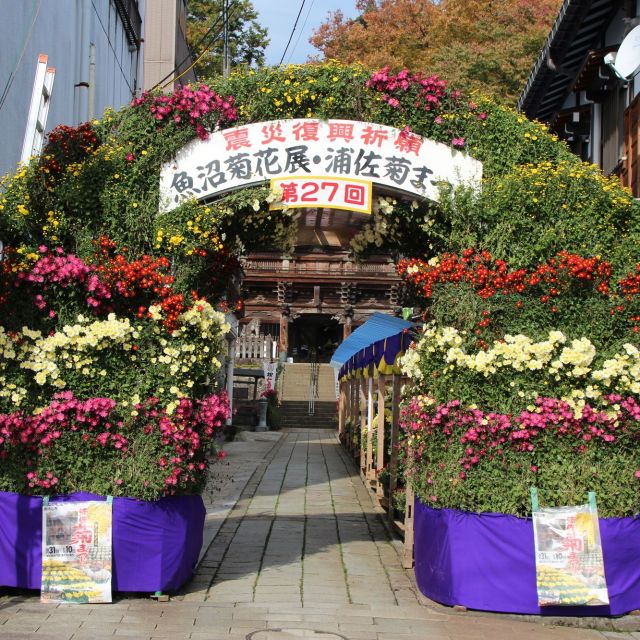 魚沼菊花展 浦佐菊まつり