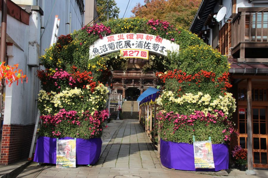 魚沼菊花展 浦佐菊まつり