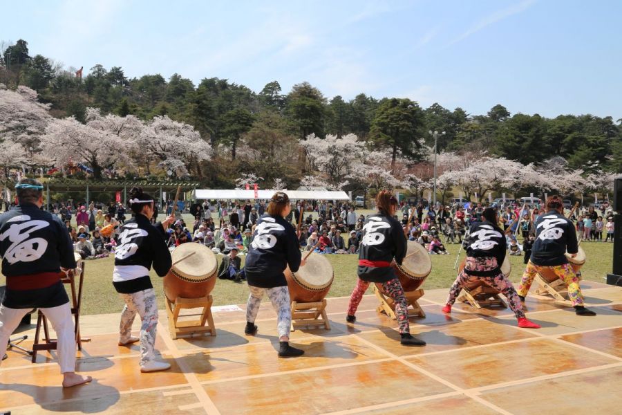 村松公園桜まつり 新潟のイベント 公式 新潟県のおすすめ観光 旅行情報 にいがた観光ナビ