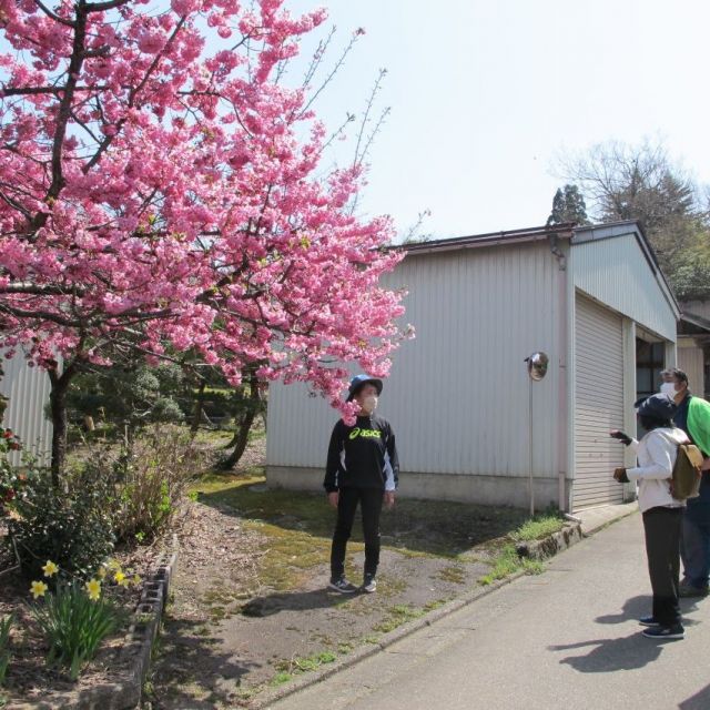 燕三条まちあるき2026