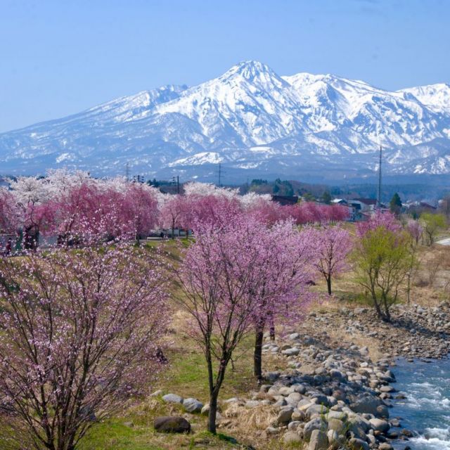 妙高アクティビティパーク