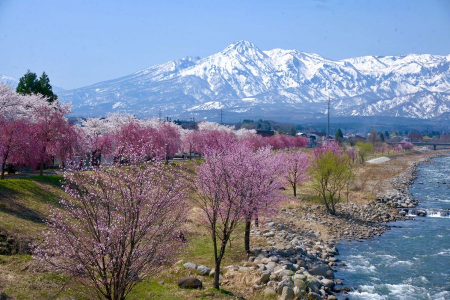 妙高アクティビティパーク