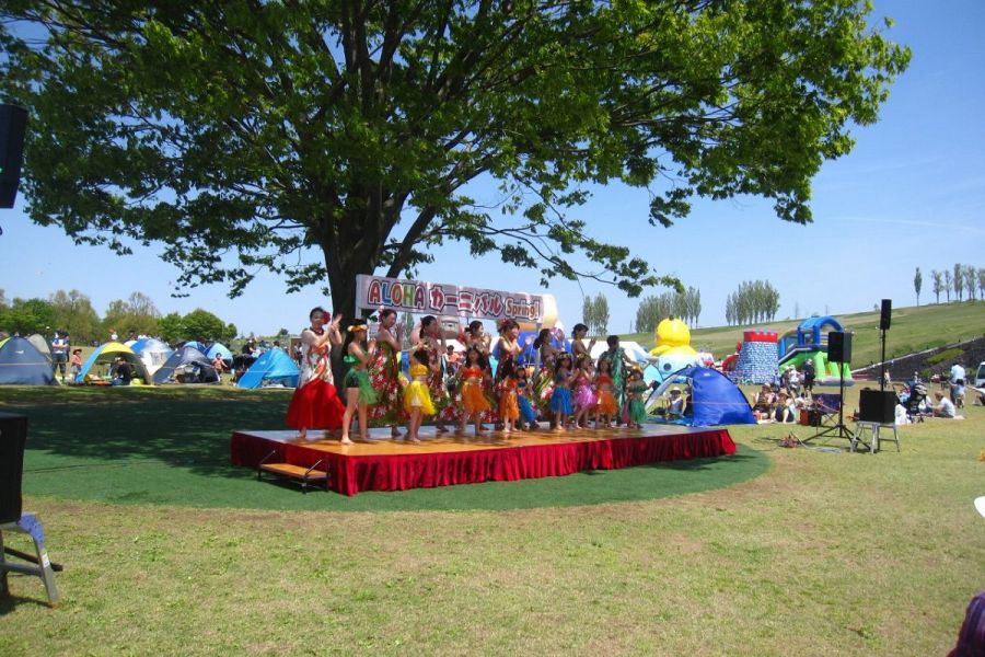 国営越後丘陵公園「ALOHAカーニバルSpring！」