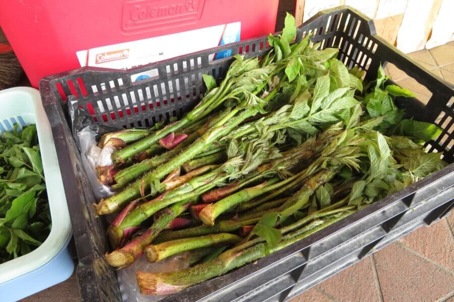 松代ふるさと産直市場「愛の風」