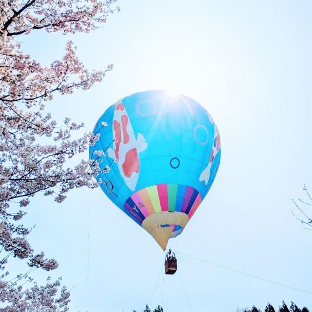 熱気球お花見試乗体験