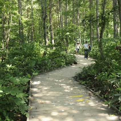 苗場ボードウォークキャンプ