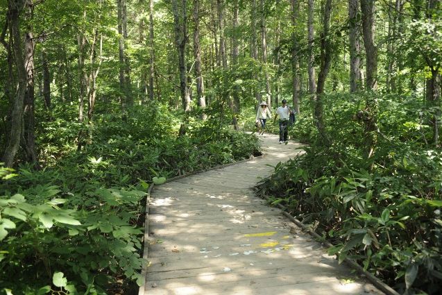 苗場ボードウォークキャンプ