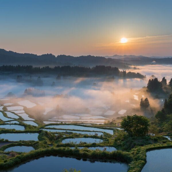 越後松代棚田群 星峠の棚田