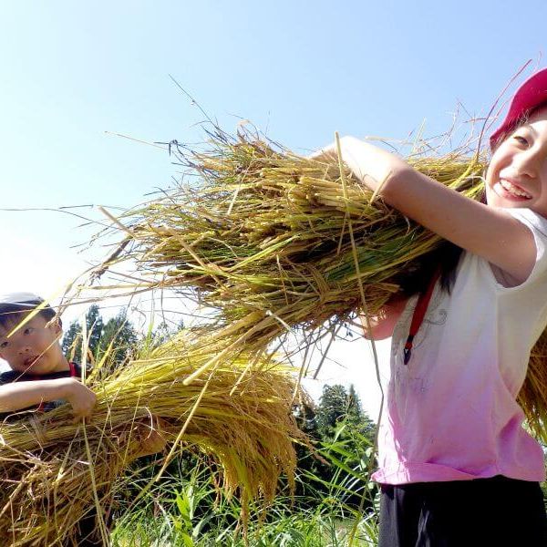 【親子で稲作体験！】 田っぽビオトープ大作戦