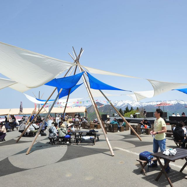 スプリングフェア