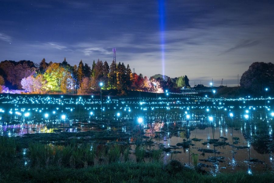 やまあかり - YAMAKOSHI HERITAGE ILLUMINATION -