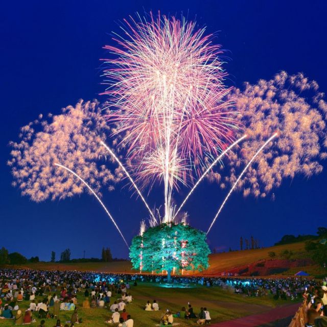 長岡花火ローズファンタジー