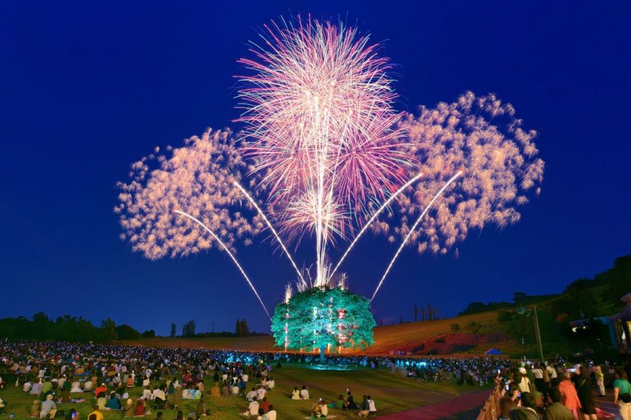 長岡花火ローズファンタジー