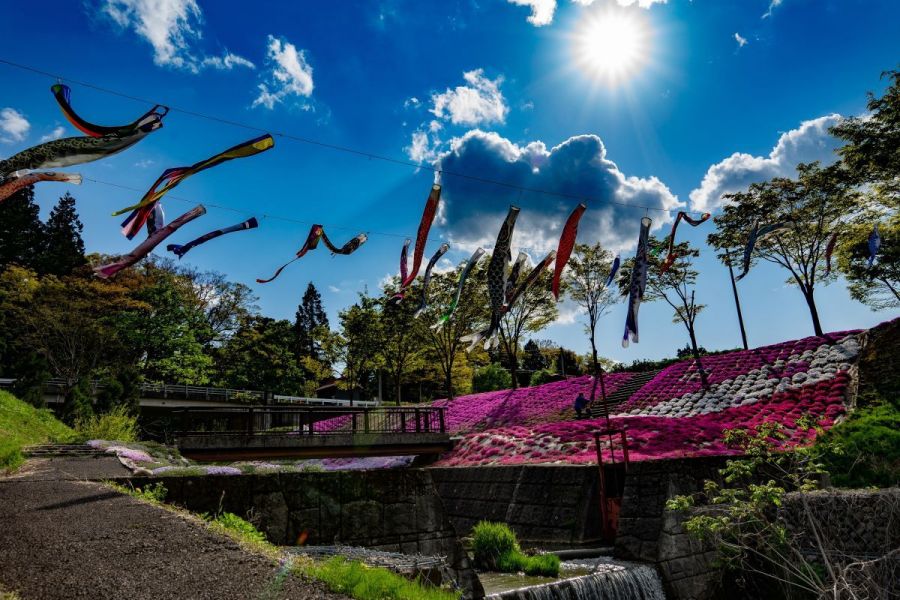 「#上越もよう」フォトコンテスト受賞作品