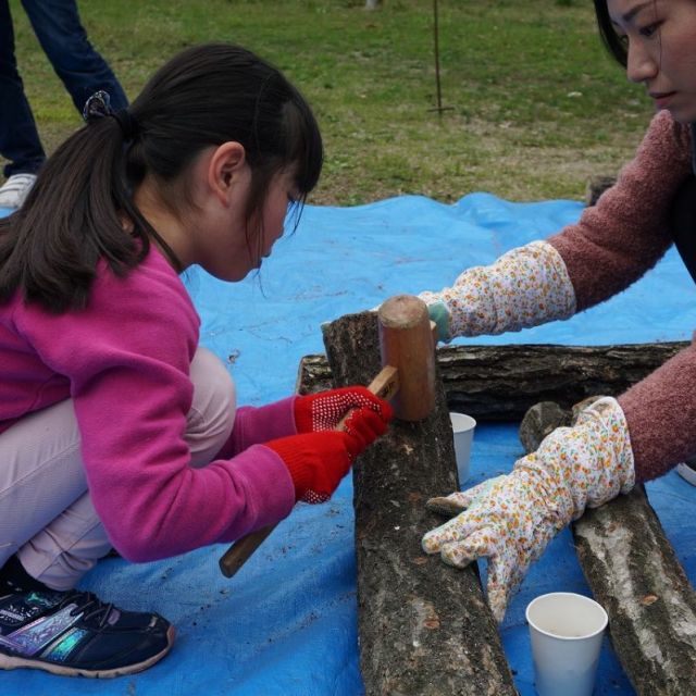 国営越後丘陵公園「しいたけ・なめこのほだ木づくり」