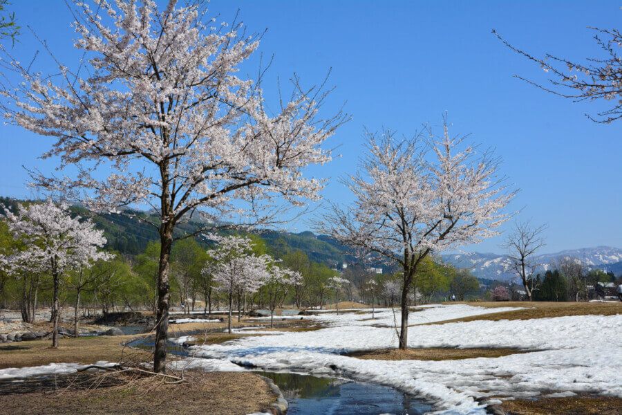 清津川フレッシュパーク