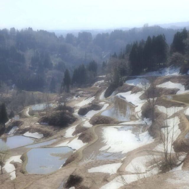 越後松代棚田群 蒲生の棚田