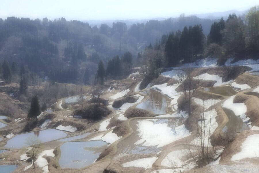 越後松代棚田群 蒲生の棚田