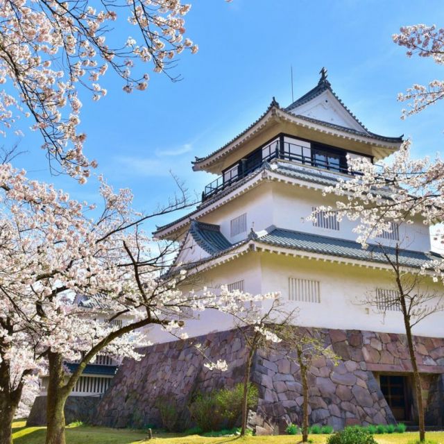 悠久山公園