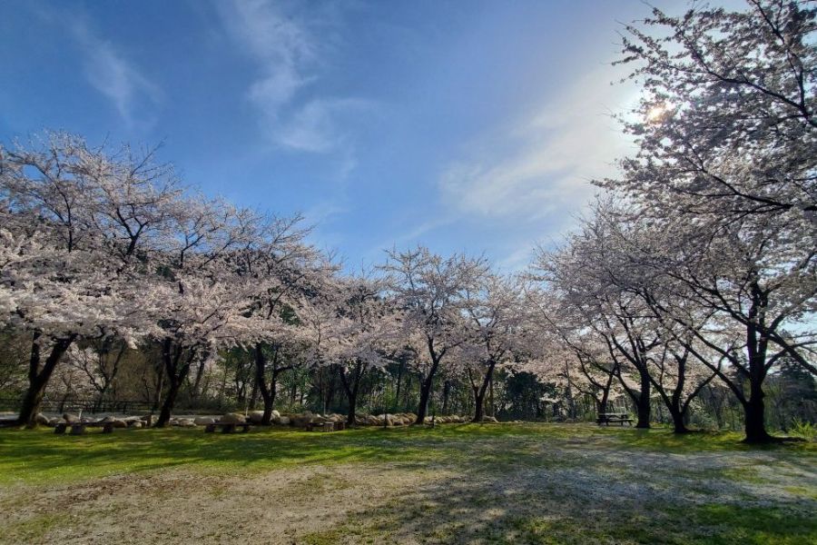 五頭山麓いこいの森