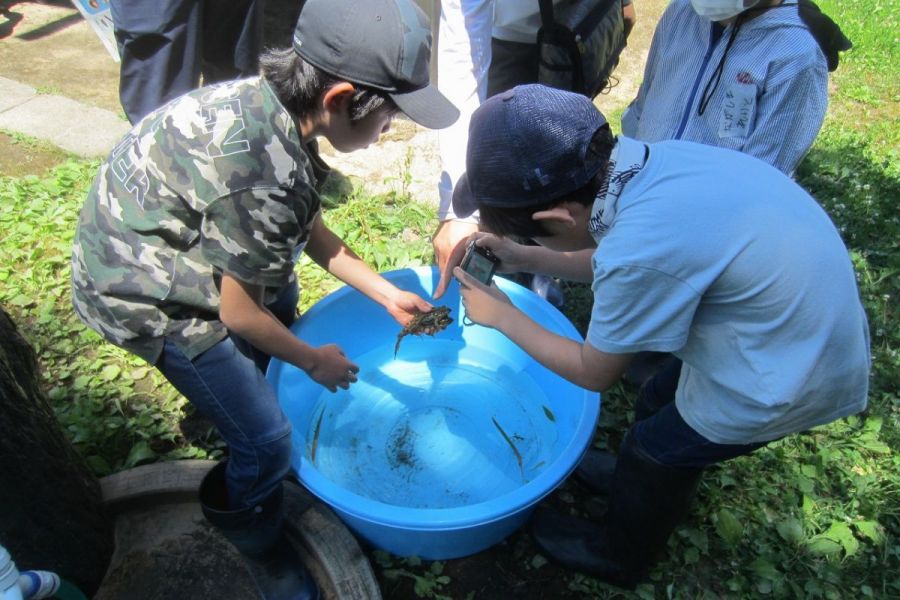国営越後丘陵公園「田んぼの生きもの観察会」