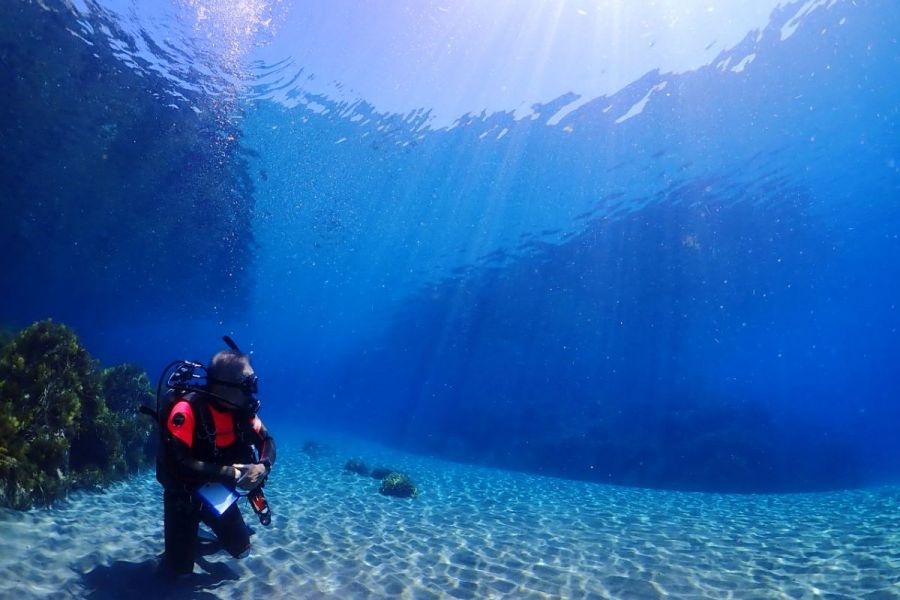 両津港から車で30分！虫崎で「体験ダイビング」半日プラン