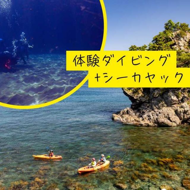 両津港から車で30分！虫崎で一日遊べる「体験ダイビング」＋「シーカヤック」コース