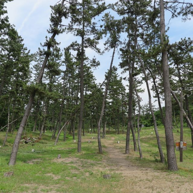 角田浜キャンプ場