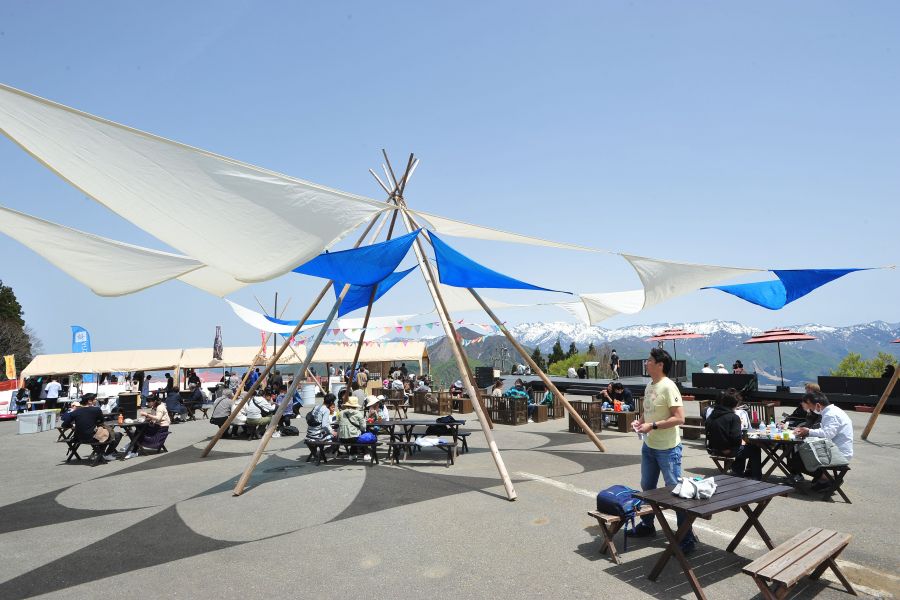 スプリングフェア