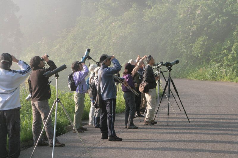 松之山探鳥会