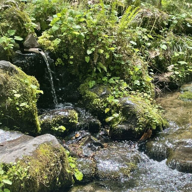 杜々の森名水公園