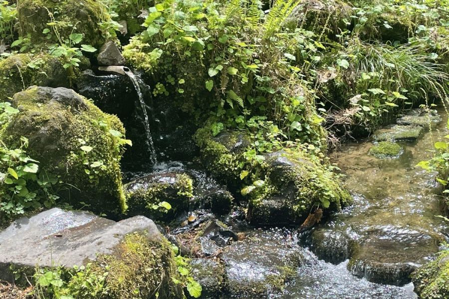 杜々の森名水公園