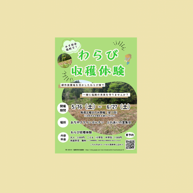 【小千谷市】塩殿でわらび収穫体験開催！