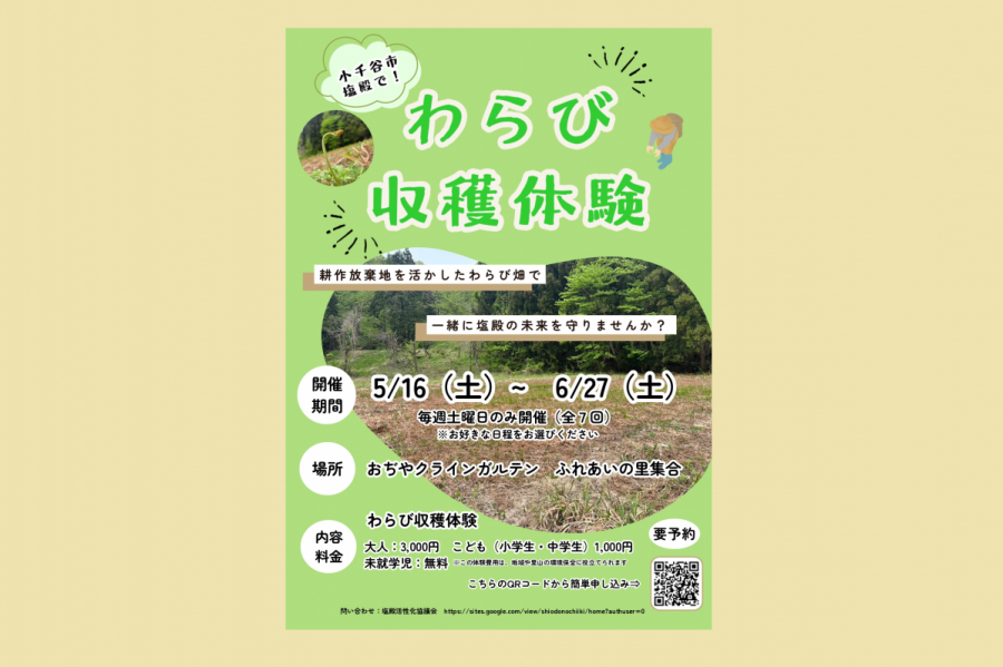 【小千谷市】塩殿でわらび収穫体験開催！