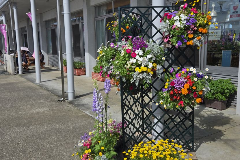 花テラス