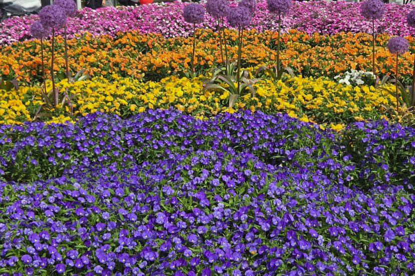 花