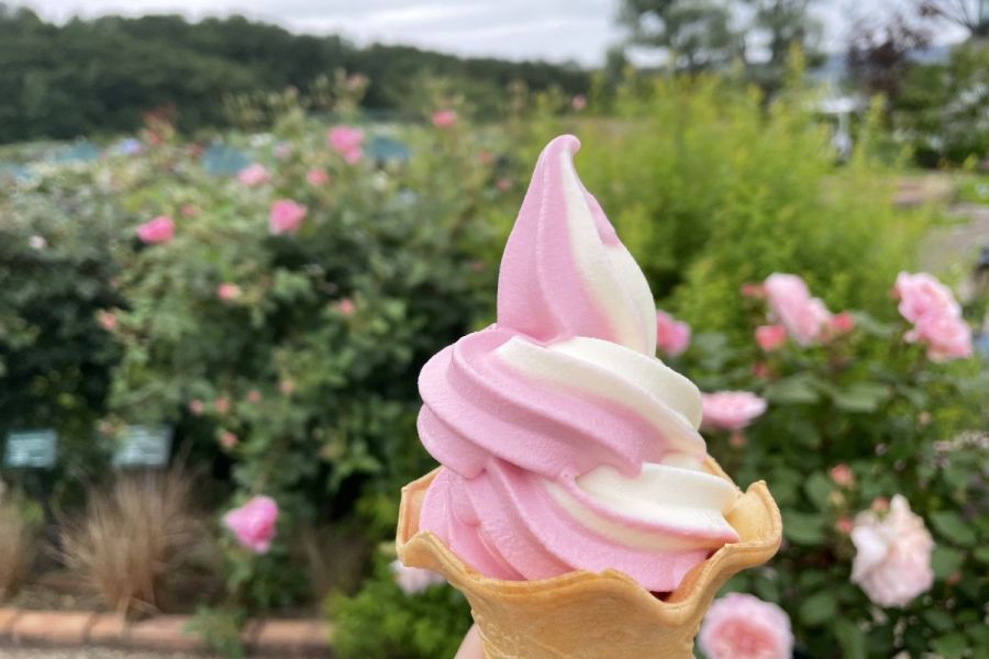 ばらソフト